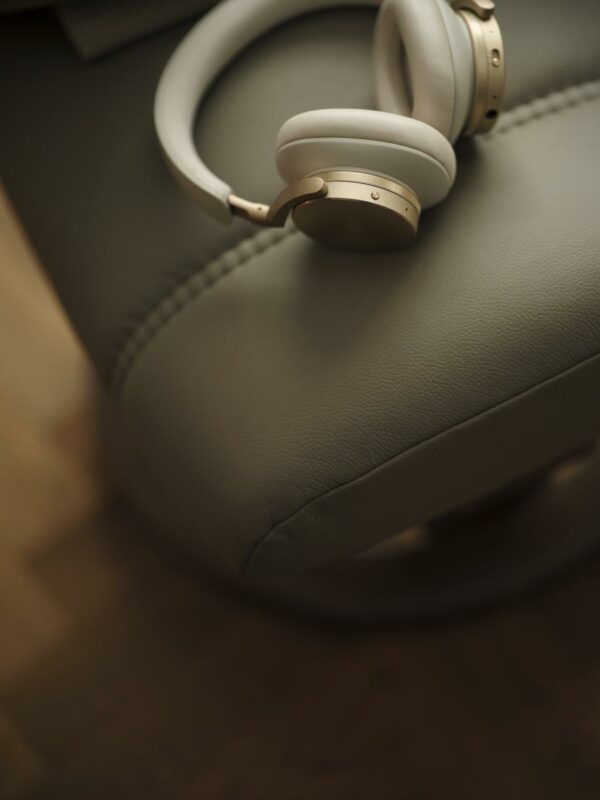 Fauteuil Consul – Image 2