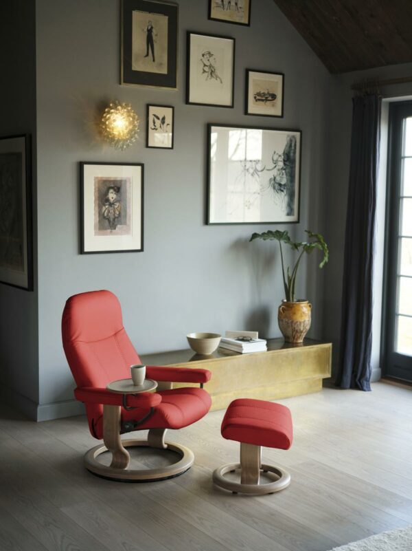 Fauteuil Consul – Image 4