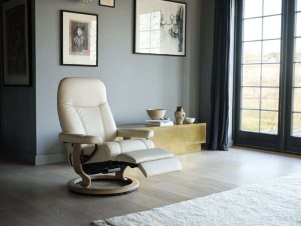 Fauteuil Consul – Image 8